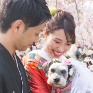 大仙公園 桜 前撮り 愛犬 日本庭園 和装